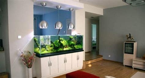 廚房吊燈風水 魚缸放玄關